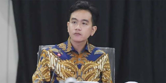 Banyak Persoalan, Publik Pertanyakan Peran Gibran