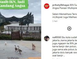 Kondisi Terkini IKN Viral di Medsos, Penampakan Hewan Tak Terduga di Istana Negara, Netizen: Ada Candi Baru Nih?