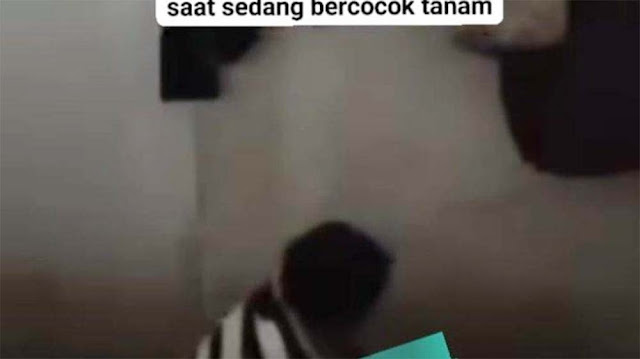 Video Syur Berdurasi 1 Menit Viral di Facebook, Diduga Terjadi di Mamuju