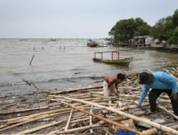 Kisruh Pagar Laut, Giliran Warga Desa Kohod Panik Gegara NIK Dicatut Terbitkan SHM dan SHGB