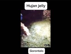 Viral Hujan Jeli di Gorontalo, Warga Bongkar Fakta Mengejutkan!