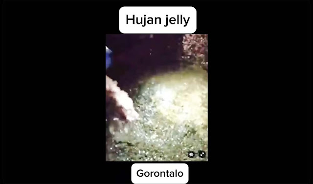 Viral Hujan Jeli di Gorontalo, Warga Bongkar Fakta Mengejutkan!