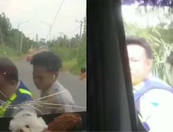 Viral Dua Pria Berseragam Dishub Lakukan Pemerasan Terhadap Sopir Pikap, Warganet Heboh!