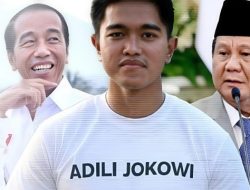 Soroti Teriakan Prabowo, Pakar HTN: Jokowi Masih Hidup, Oleh karena Itu Adililah Segera!