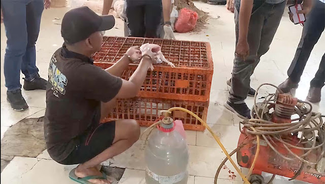 Polres Jaksel Bongkar Sindikat Penjual Ayam Gelonggongan di Pasar Kebayoran Lama