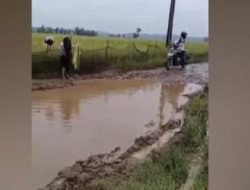 Viral Guru Menangis Histeris setelah Jatuh di Jalan Rusak Berlumpur di Desa Cimoyan Pandeglang