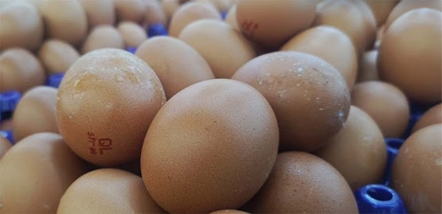 Harga Telur Ayam di Makassar Tembus Rp 51 Ribu/Kg