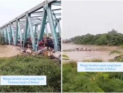 Viral Warga Bekasi Berebut Ayam yang Hanyut Terbawa Banjir, Agak Lain!