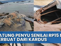 HEBOH Patung Penyu di Sukabumi Rp 15 M Tapi Ternyata Kardus, Ini Faktanya!