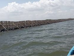 Pagar Laut di Pesisir Tangerang Belum Sepenuhnya Dicabut, Nelayan: Kami Merasa Dibohongi!