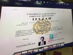 Sejarah Times New Roman: Font Kuno yang Bikin Isu Ijazah Jokowi Mencuat Kembali