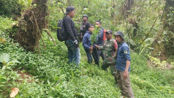 Viral Penemuan Ladang Ganja di Bromo, Netizen: Dilarang Pakai Drone = takut Ketahuan?