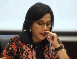 Sri Mulyani Lengser, Intrik Politik dan Krisis Ekonomi