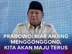 Ucapan ‘Anjing Menggonggong’ Lebih Jahat daripada ‘Ndasmu’, Aktivis: Sedih Sekali Punya Pemimpin Begini!