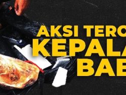 Soroti Kepala Babi, Anak Gus Dur Bagikan Cerita Masa Orde Baru: Teror Kayak Gini Itu Nyata!