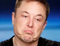 Tesla Cari CEO Baru, Elon Musk Digeser