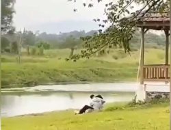 Viral Dua Remaja Berbuat Mesum di Pinggir Danau