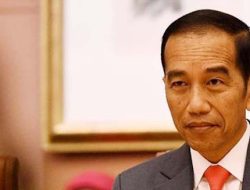 Jokowi, Negarawan atau Preman Politik?