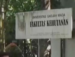 Isu Ijazah Palsu Jokowi Bikin Anak Muda Ogah Kuliah di UGM, Katanya Universitas Abal-abal, Mirip Universitas yang di Ruko-ruko