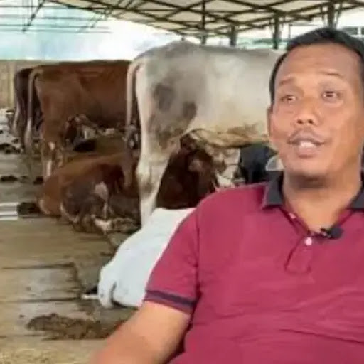 Yang Lain Cari Kerja, Saya Cari Rumput, Sekarang Punya Aset Rp 80 Miliar