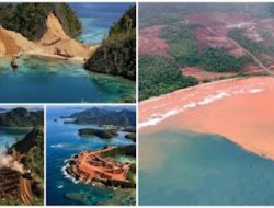 Tak Cuma Antam, Ada Investor China di Balik Tambang Raja Ampat
