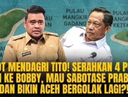 SIMAK! Memahami Polemik 4 Pulau Aceh Jadi Milik Sumut Versi Kemendagri