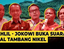 KACAU! Pemerintah Ternyata Tak Punya Riset Dampak Tambang Nikel Terhadap Ekosistem Pesisir, Pakar Curiga Disengaja