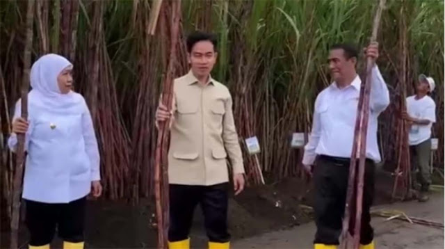 Kesulitan Gunakan Arit Saat Potong Tebu, Wapres Gibran Bikin Warganet Heran: Jadi Bisanya Apa?