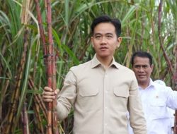 Pemakzulan Gibran Belum Dibahas Parlemen, Surat Misterius Lain Diterima DPR