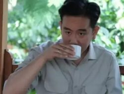 Gibran Tak Berpartai, Pemakzulan Wapres Seharusnya Mudah