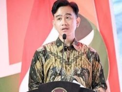 PDIP Dukung Gibran Berkantor di Papua: Bagus Sekali!