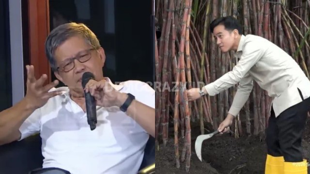 Gibran Ditugaskan ke Papua, Rocky Gerung Dukung: Biar Kapasitasnya Meningkat, Jangan Cuma Bisa Motong Tebu Aja!