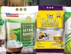 Alfamidi, Wilmar, Japfa, dan Raja Platinum Diduga Jual Beras Premium Oplosan, Rugikan Konsumen Rp 99 Triliun