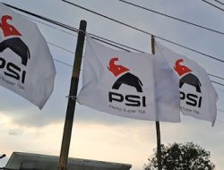 PSI Ubah Logo dari Mawar Jadi Gajah, Jokowi: Disesuaikan dengan Permintaan Pasar...