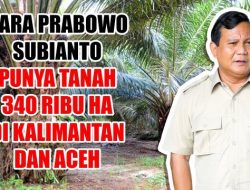 WOW! Sinar Mas, Jhonlin hingga Keluarga Prabowo Disebut Ikut Kuasai Separuh Lahan Bersertifikat RI