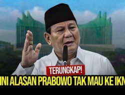 UPDATE! Ramai Wacana Baru, IKN Disarankan Turun Pangkat Jadi Ibu Kota Provinsi