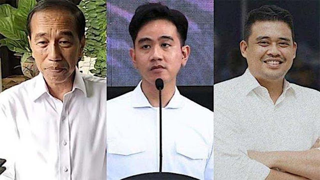Pengamat Menilai Jokowi Sebaiknya Tinggalkan Dunia Politik, Jika Merasa Sudah Curiga