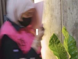 Otak Korupsi Bank BUMN di Pringsewu Terungkap: Kuras Dana Nasabah Rp 17,9 Miliar dengan Akun Palsu