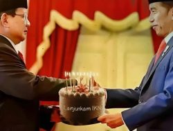IKN Terancam Mandek di Era Prabowo? 4 Fakta di Balik Usulan Moratorium Yang Mengguncang Parlemen!