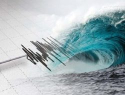 BMKG: Tsunami Setinggi 19 Cm Terdeteksi di Pelabuhan Sarmi Papua