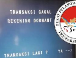 Jeritan Warga yang Rekeningnya Diblokir PPATK: Dari Tabungan Darurat hingga Rekening Anak