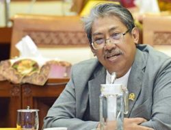 PKS: Danantara Jangan Rangkap Tugas sebagai SWF