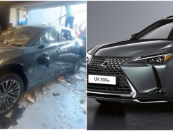 Buntut Ucapan Tolol Sahroni, Lexus UX 300e Senilai Rp1,5 Miliar Hancur Diamuk Massa