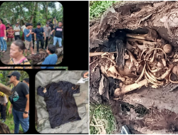 Viral Penemuan Kerangka Manusia di Dalam Pohon Aren Gegerkan Warga Serdang, Ini Penampakannya