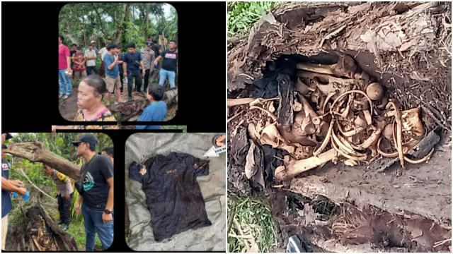 Viral Penemuan Kerangka Manusia di Dalam Pohon Aren Gegerkan Warga Serdang, Ini Penampakannya