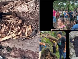 Kerangka Manusia di Dalam Pohon Aren Gegerkan Warga Serdang Sumut, Ini Penampakannya