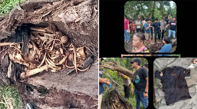 Kerangka Manusia di Dalam Pohon Aren Gegerkan Warga Serdang Sumut, Ini Penampakannya