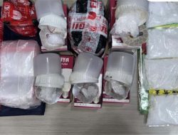 Polisi Tangkap Pemuda di Jagakarsa yang Samarkan Sabu dalam Paket Lampu