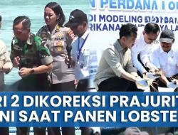Jadi Sorotan! Wapres Gibran Pakai Sarung Tangan Terbalik Saat Panen Lobster Dicibir Publik: Bisamu Itu Apa To Bran?