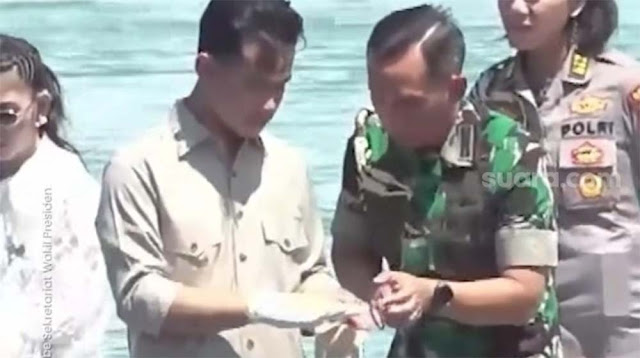 Gibran Pakai Sarung Tangan Terbalik saat Hendak Panen Lobster Jadi Sorotan, TNI Turun Tangan